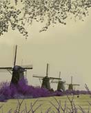 Değirmenler - Hollanda