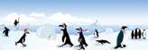 İmparator Penguenler