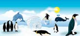 İmparator Penguen