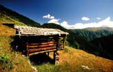 Yayla, Karadeniz