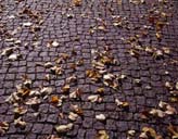 Arnavut Kald�r�m�, Berlin