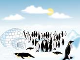 Penguenler 