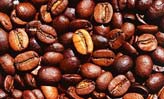 Kahve ekirdekleri